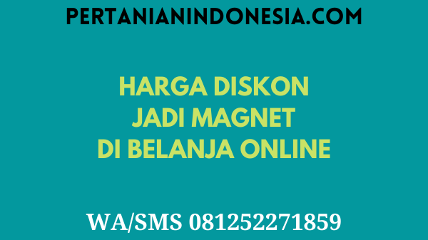 Harga Diskon Jadi Magnet Di Belanja Online